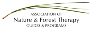 Forest therapy association